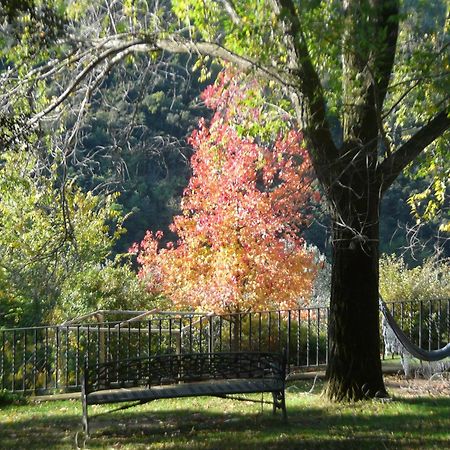 Can Barrina Montseny Luaran gambar