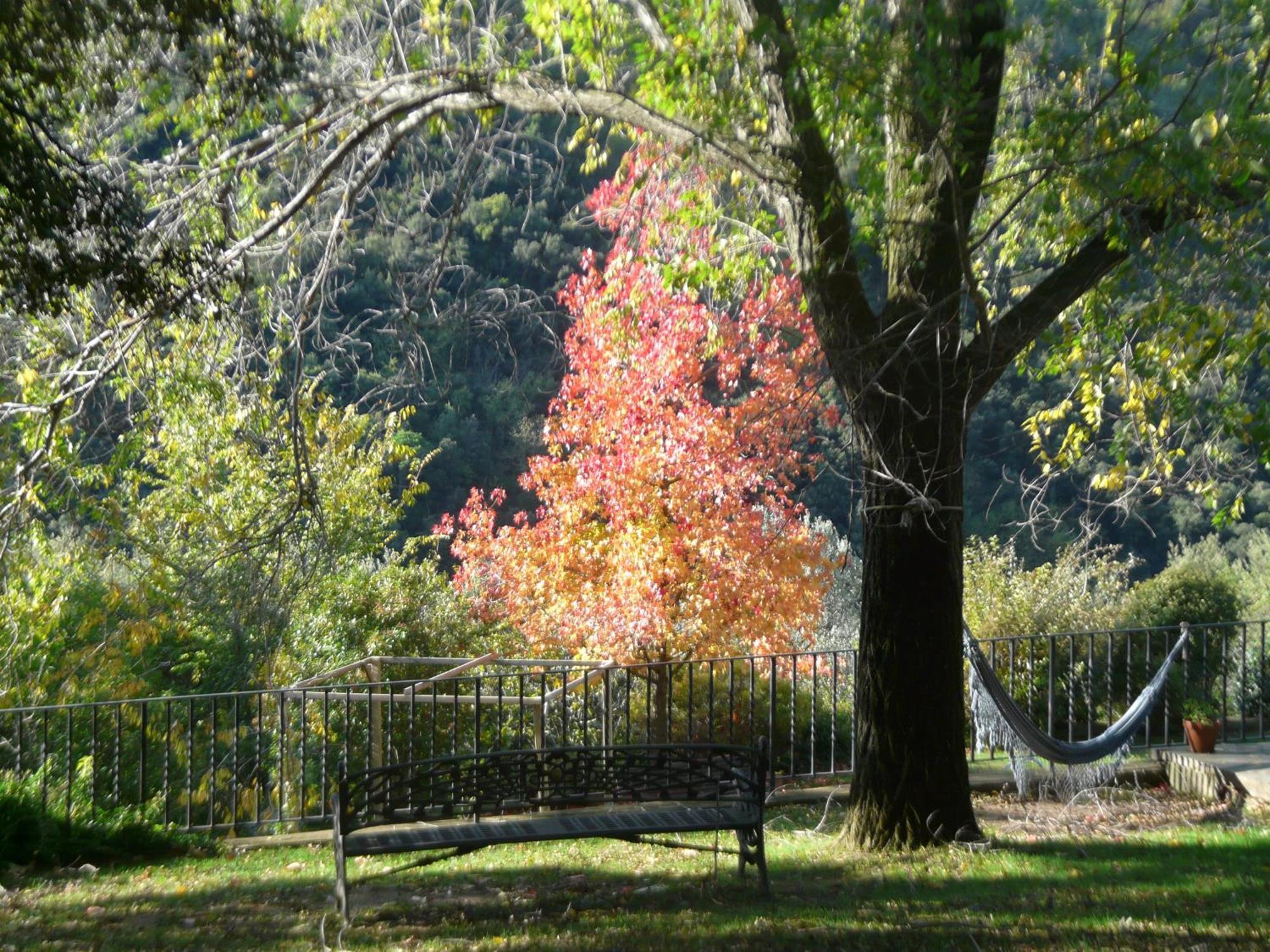 Can Barrina Montseny Luaran gambar
