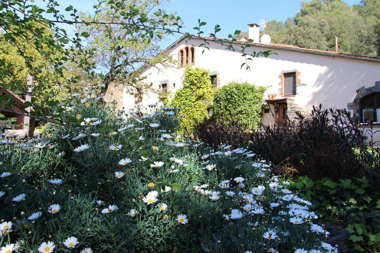 Can Barrina Montseny Luaran gambar